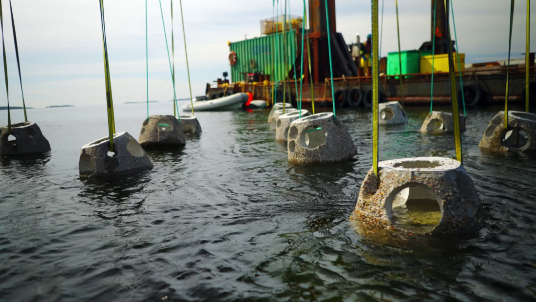 SBM Offshore marks UN World Oceans Day 2022, installs reef balls in Nova Scotia for development of marine ecosystems